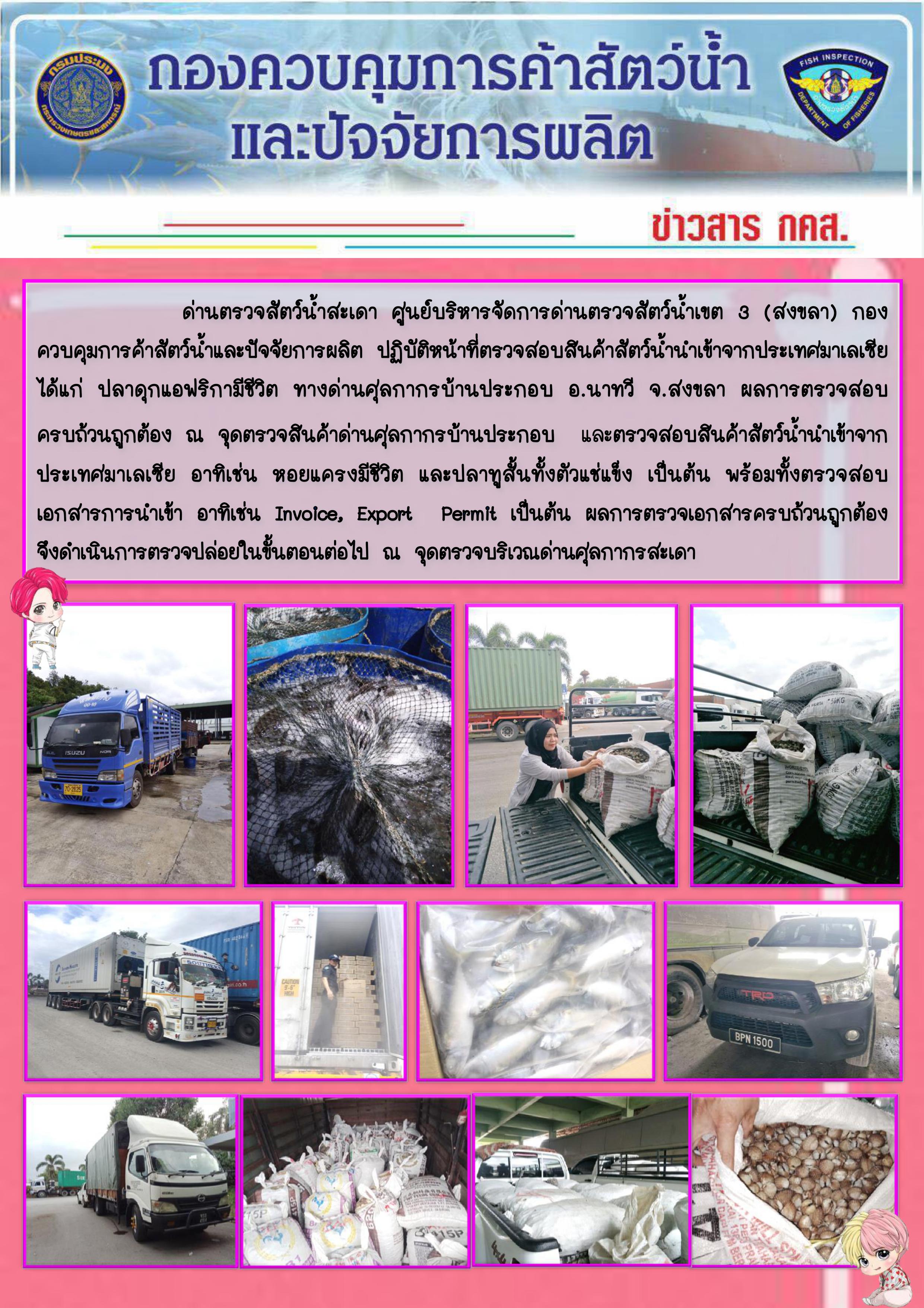 ข่าวสาร กคส. ประจำวันอังคารที่ 17 ธันวาคม 2562..คลิก