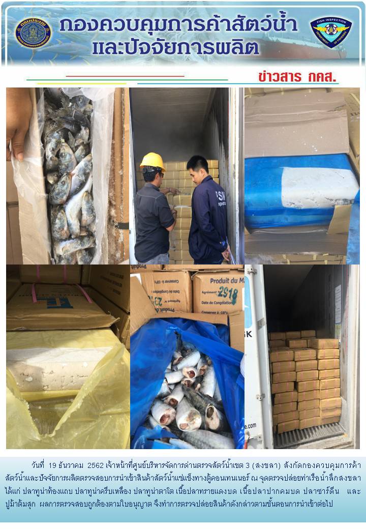 เจ้าหน้าที่ศูนย์บริหารจัดการด่านตรวจสัตว์น้ำเขต 3 (สงขลา) สังกัดกองควบคุมการค้าสัตว์น้ำและปัจจัยการผลิต ตรวจสอบการนำเข้าสินค้าสัตว์น้ำประเภทตู้คอนเทนเนอร์ ณ จุดตรวจปล่อยท่าเรือน้ำลึกสงขลา..คลิก