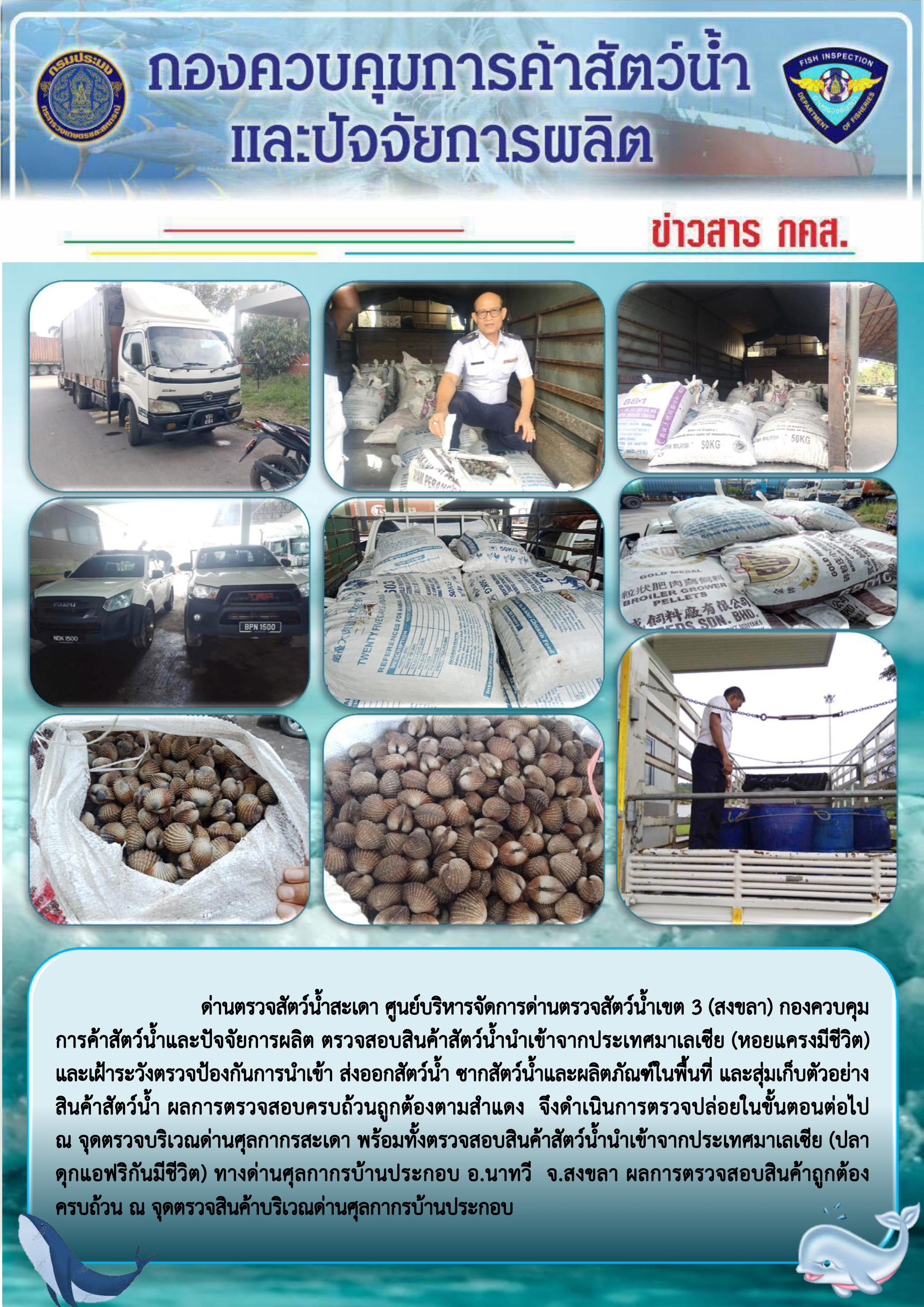 ข่าวสาร กคส. ประจำวันพฤหัสบดีที่ 19 ธันวาคม 2562..คลิก