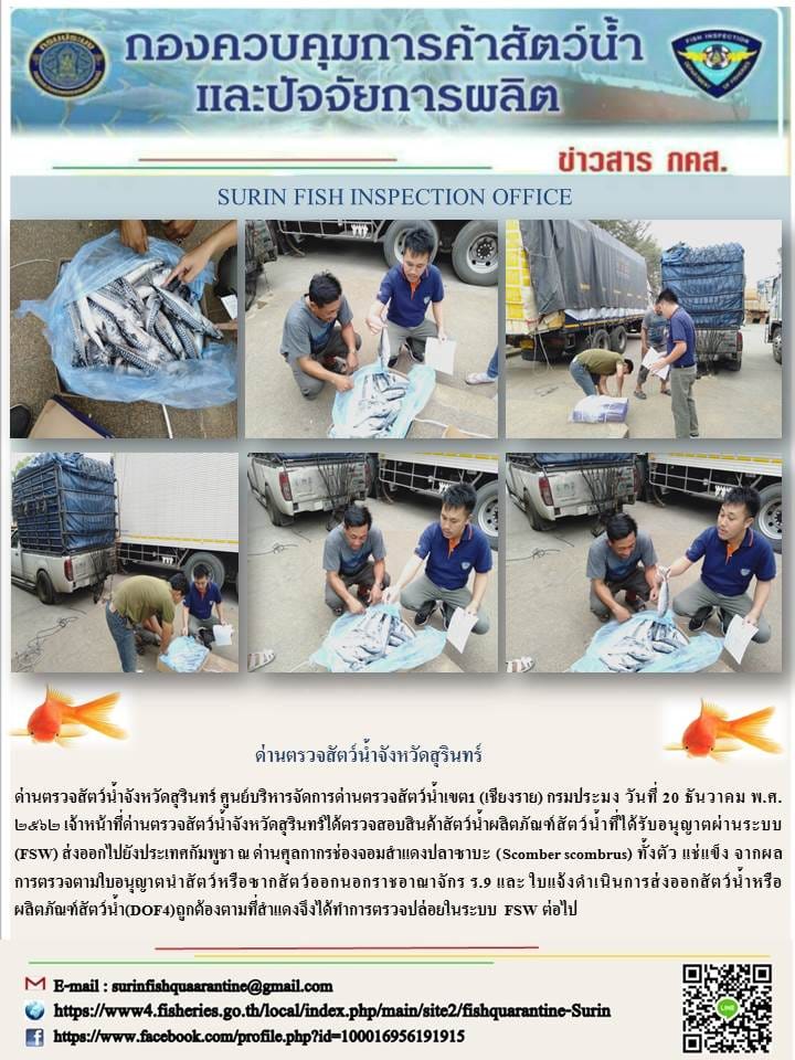 ผลการปฏิบัติงานด่านตรวจสัตว์น้ำจังหวัดสุรินทร์ วันที่ ๒๐ ธันวาคม พ.ศ.๒๕๖๒..คลิก