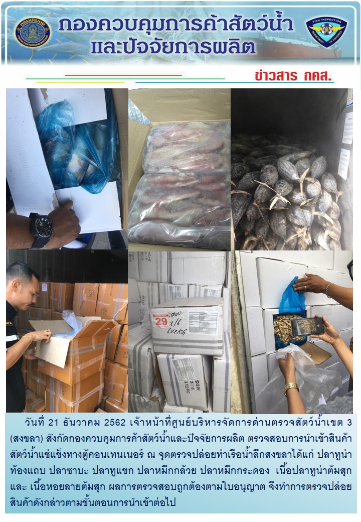 เจ้าหน้าที่ศูนย์บริหารจัดการด่านตรวจสัตว์น้ำเขต 3 (สงขลา) สังกัดกองควบคุมการค้าสัตว์น้ำและปัจจัยการผลิต ตรวจสอบการนำเข้าสินค้าสัตว์น้ำประเภทตู้คอนเทนเนอร์ ณ จุดตรวจปล่อยท่าเรือน้ำลึกสงขลา..คลิก