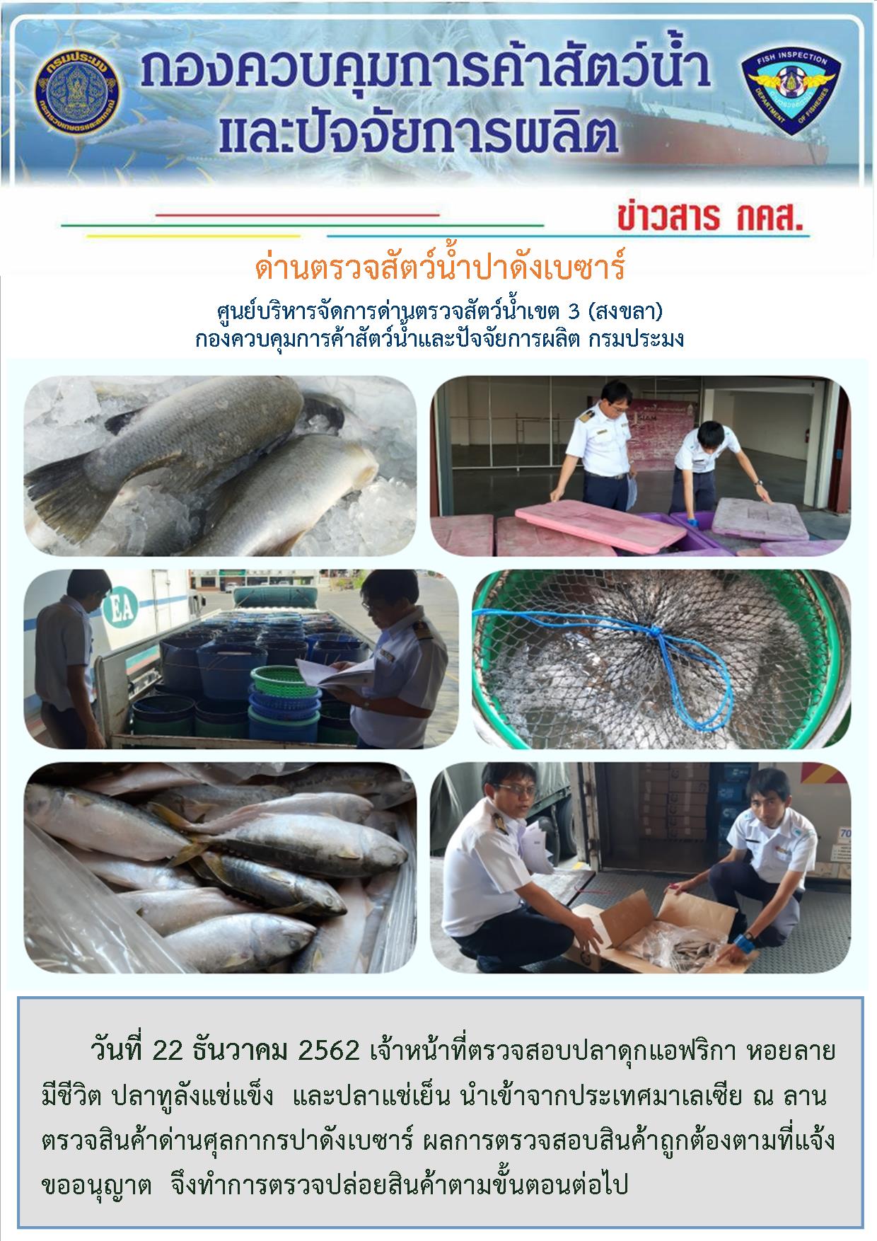 ด่านตรวจสัตว์น้ำปาดังเบซาร์ ตรวจสอบสัตว์น้ำนำเข้า ประจำวันที่ 21 ธันวาคม 2562..คลิก