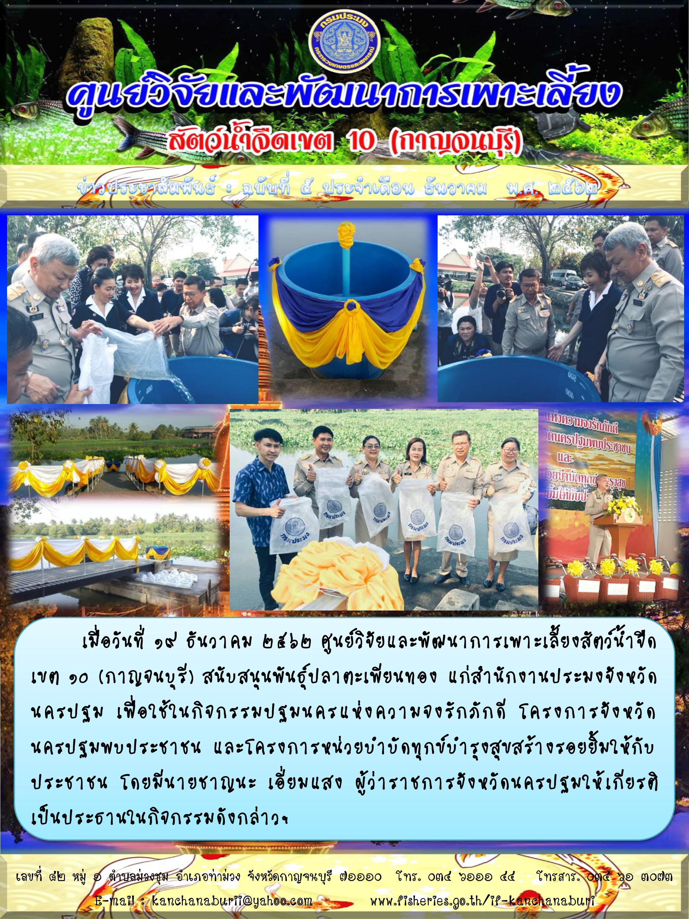 ศพจ.เขต 10 (กาญจนบุรี) สบับสนุนพันธุ์ปลาตะเพียนทอง แก่สำนักงานประมงจังหวัดนครปฐมฯ..คลิก