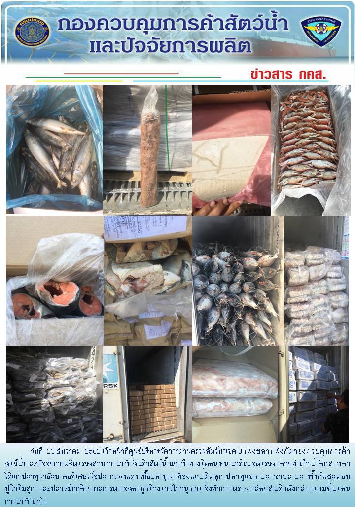 เจ้าหน้าที่ศูนย์บริหารจัดการด่านตรวจสัตว์น้ำเขต 3 (สงขลา) สังกัดกองควบคุมการค้าสัตว์น้ำและปัจจัยการผลิต ตรวจสอบการนำเข้าสินค้าสัตว์น้ำประเภทตู้คอนเทนเนอร์ ณ จุดตรวจปล่อยท่าเรือน้ำลึกสงขลา..คลิก