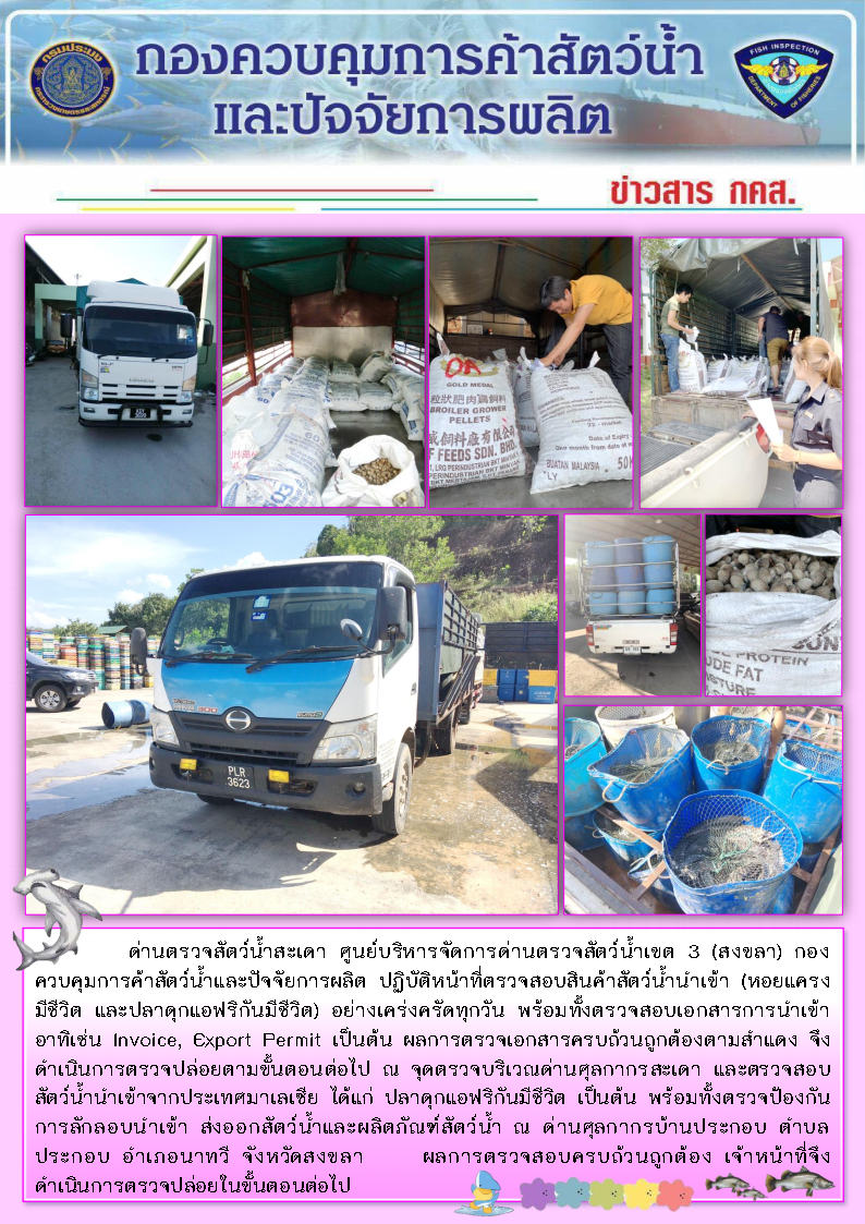 ข่าวสาร กคส. ประจำวันอังคารที่ 24 ธันวาคม 2562..คลิก