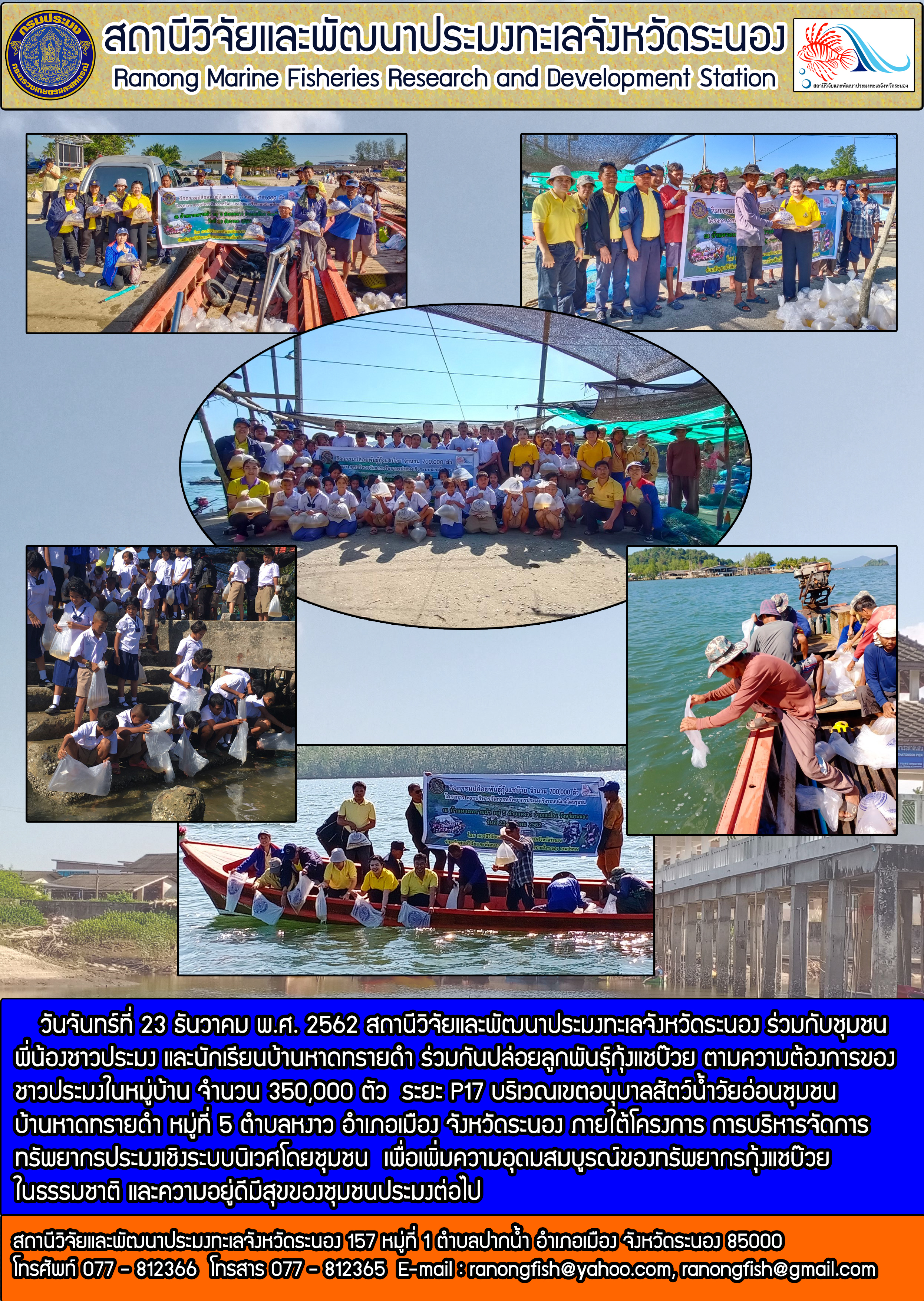 สถานีวิจัยและพัฒนาประมงทะเลจังหวัดระนอง ร่วมกับชุมชนปล่อยพันธุ์กุ้งแชบ๊วย 350,000 ตัว..คลิก