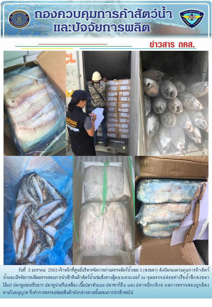 เจ้าหน้าที่ศูนย์บริหารจัดการด่านตรวจสัตว์น้ำเขต 3 (สงขลา) สังกัดกองควบคุมการค้าสัตว์น้ำและปัจจัยการผลิต ตรวจสอบการนำเข้าสินค้าสัตว์น้ำประเภทตู้คอนเทนเนอร์ ณ จุดตรวจปล่อยท่าเรือน้ำลึกสงขลา..คลิก