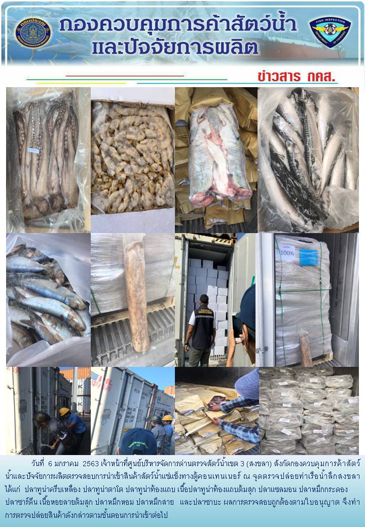 เจ้าหน้าที่ศูนย์บริหารจัดการด่านตรวจสัตว์น้ำเขต 3 (สงขลา) สังกัดกองควบคุมการค้าสัตว์น้ำและปัจจัยการผลิต ตรวจสอบการนำเข้าสินค้าสัตว์น้ำประเภทตู้คอนเทนเนอร์ ณ จุดตรวจปล่อยท่าเรือน้ำลึกสงขลา..คลิก
