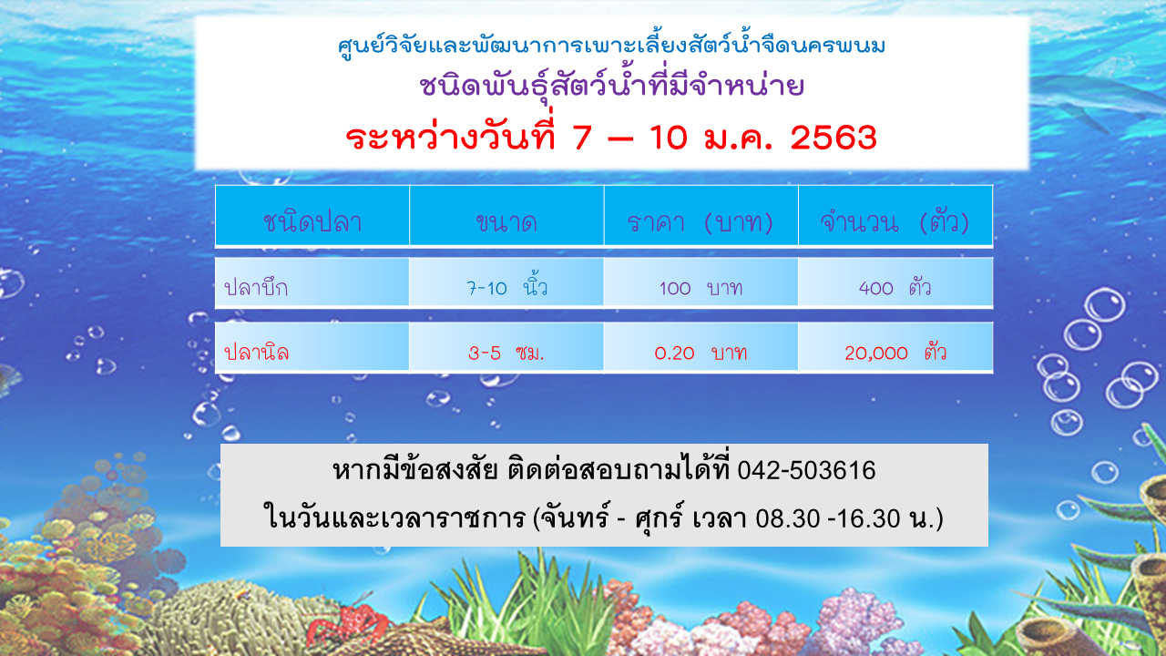 การจำหน่ายพันธุ์สัตว์น้ำ..คลิก