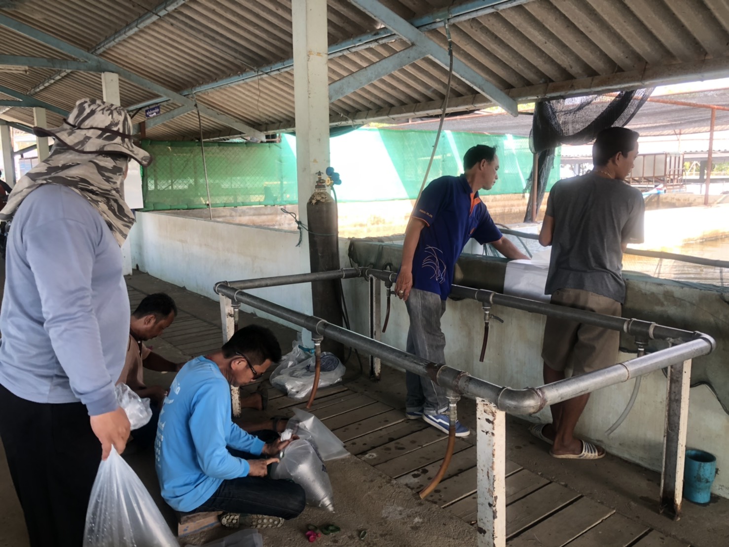กิจกรรมสนับสนุนพันธุ์สัตว์น้ำ