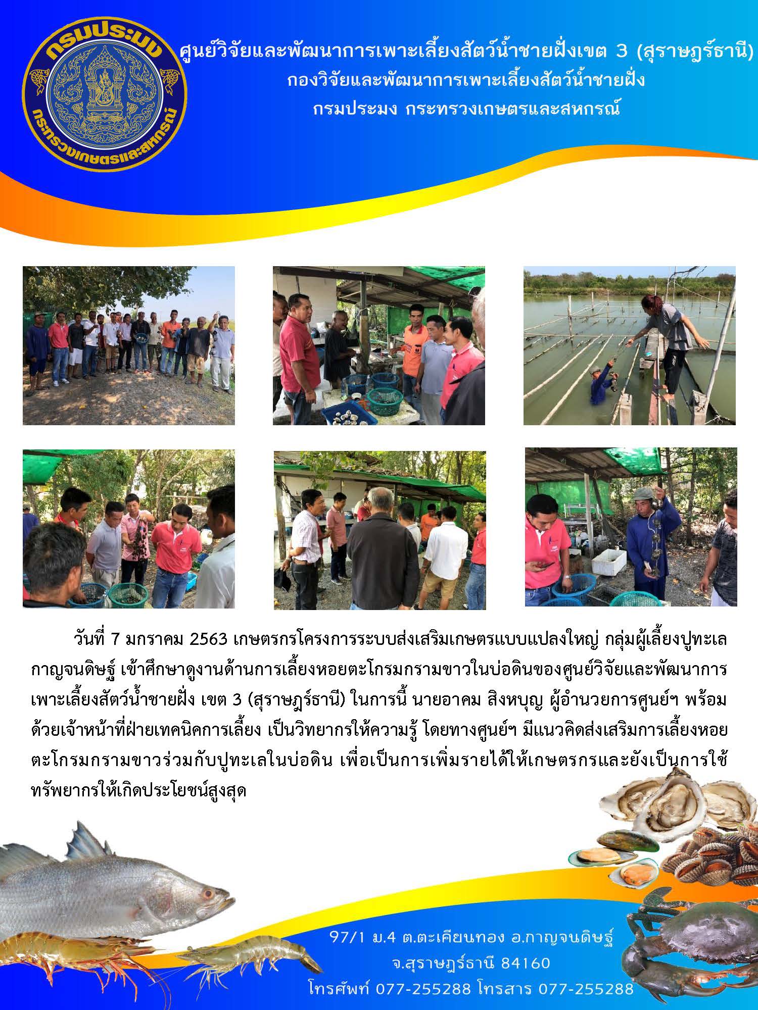 กลุ่มผู้เลี้ยงปูทะเลกาญจนดิษฐ์ เข้าศึกษาดูงานด้านการเลี้ยงหอยตะโกรมกรามขาวในบ่อดิน..คลิก
