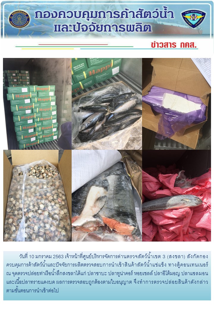 เจ้าหน้าที่ศูนย์บริหารจัดการด่านตรวจสัตว์น้ำเขต 3 (สงขลา) สังกัดกองควบคุมการค้าสัตว์น้ำและปัจจัยการผลิต ตรวจสอบการนำเข้าสินค้าสัตว์น้ำประเภทตู้คอนเทนเนอร์ ณ จุดตรวจปล่อยท่าเรือน้ำลึกสงขลา..คลิก