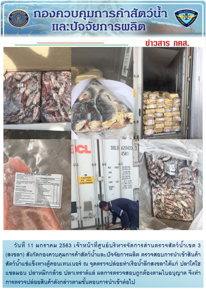 เจ้าหน้าที่ศูนย์บริหารจัดการด่านตรวจสัตว์น้ำเขต 3 (สงขลา) สังกัดกองควบคุมการค้าสัตว์น้ำและปัจจัยการผลิต ตรวจสอบการนำเข้าสินค้าสัตว์น้ำประเภทตู้คอนเทนเนอร์ ณ จุดตรวจปล่อยท่าเรือน้ำลึกสงขลา..คลิก