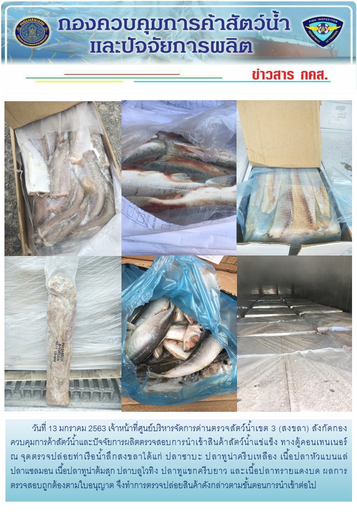 เจ้าหน้าที่ศูนย์บริหารจัดการด่านตรวจสัตว์น้ำเขต 3 (สงขลา) สังกัดกองควบคุมการค้าสัตว์น้ำและปัจจัยการผลิต ตรวจสอบการนำเข้าสินค้าสัตว์น้ำประเภทตู้คอนเทนเนอร์ ณ จุดตรวจปล่อยท่าเรือน้ำลึกสงขลา..คลิก