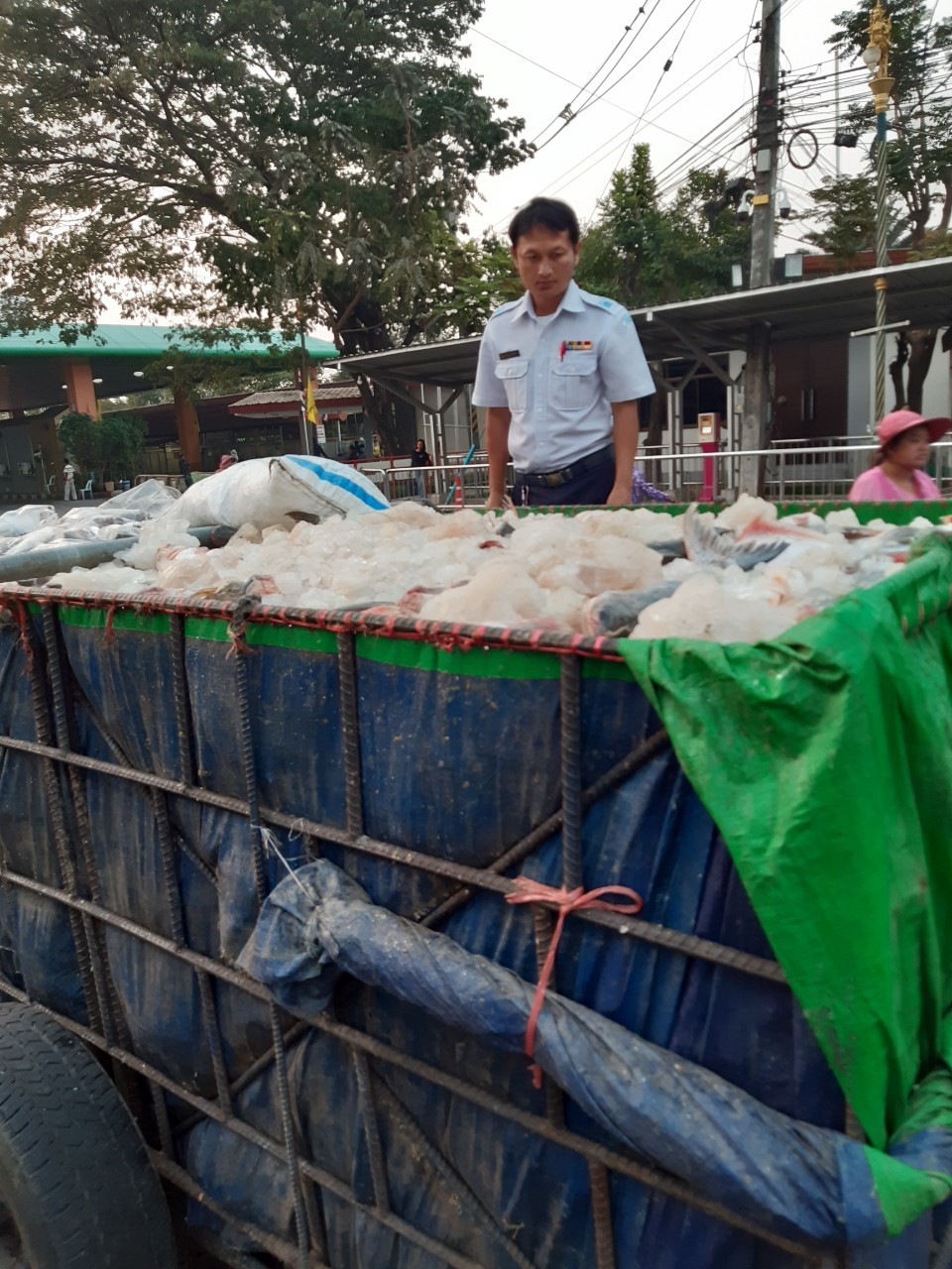 ตรวจสินค้าประมงที่นำเข้า ส่งออก ทางด่านพรมแดนถาวรคลองลึก..คลิก