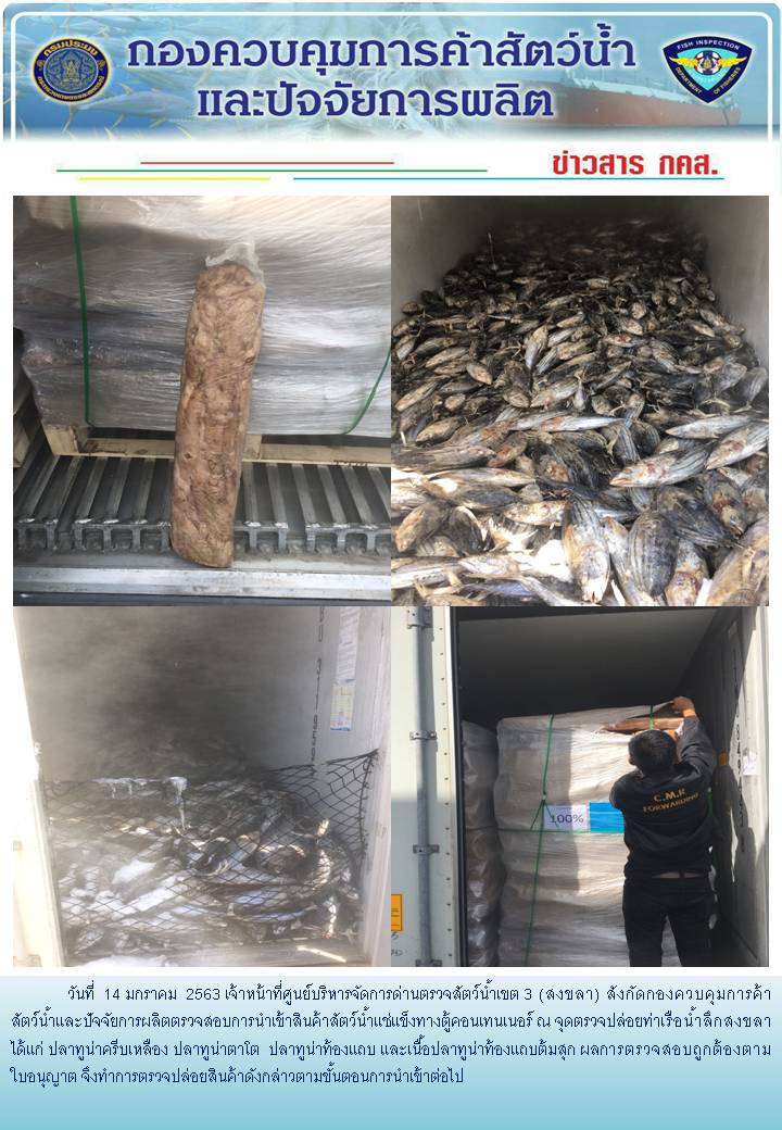 เจ้าหน้าที่ศูนย์บริหารจัดการด่านตรวจสัตว์น้ำเขต 3 (สงขลา) สังกัดกองควบคุมการค้าสัตว์น้ำและปัจจัยการผลิต ตรวจสอบการนำเข้าสินค้าสัตว์น้ำประเภทตู้คอนเทนเนอร์ ณ จุดตรวจปล่อยท่าเรือน้ำลึกสงขลา..คลิก