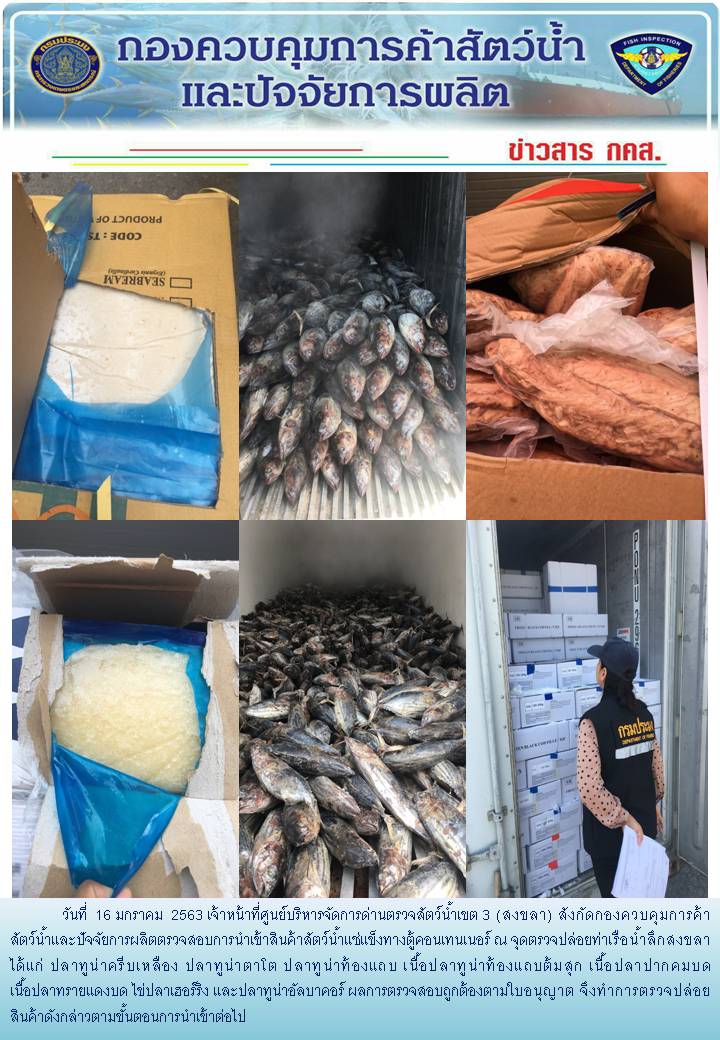 เจ้าหน้าที่ศูนย์บริหารจัดการด่านตรวจสัตว์น้ำเขต 3 (สงขลา) สังกัดกองควบคุมการค้าสัตว์น้ำและปัจจัยการผลิต ตรวจสอบการนำเข้าสินค้าสัตว์น้ำประเภทตู้คอนเทนเนอร์ ณ จุดตรวจปล่อยท่าเรือน้ำลึกสงขลา..คลิก