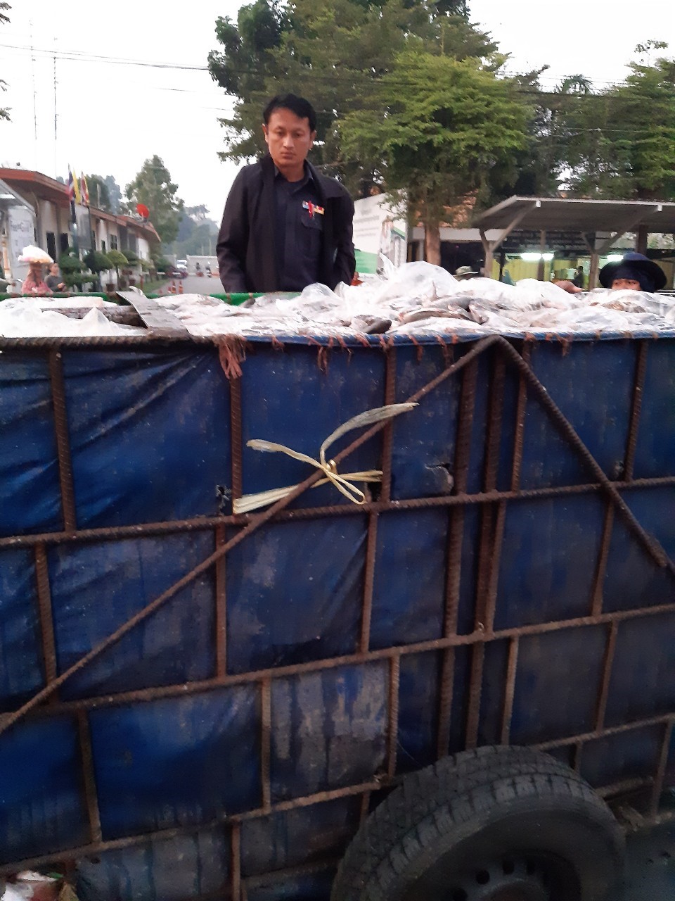 ตรวจสินค้าประมงที่นำเข้า ส่งออก ทางด่านพรมแดนถาวรคลองลึก..คลิก