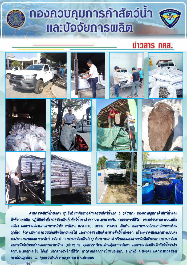 ข่าวสาร กคส. ประจำวันศุกร์ที่ 17 มกราคม 2563..คลิก
