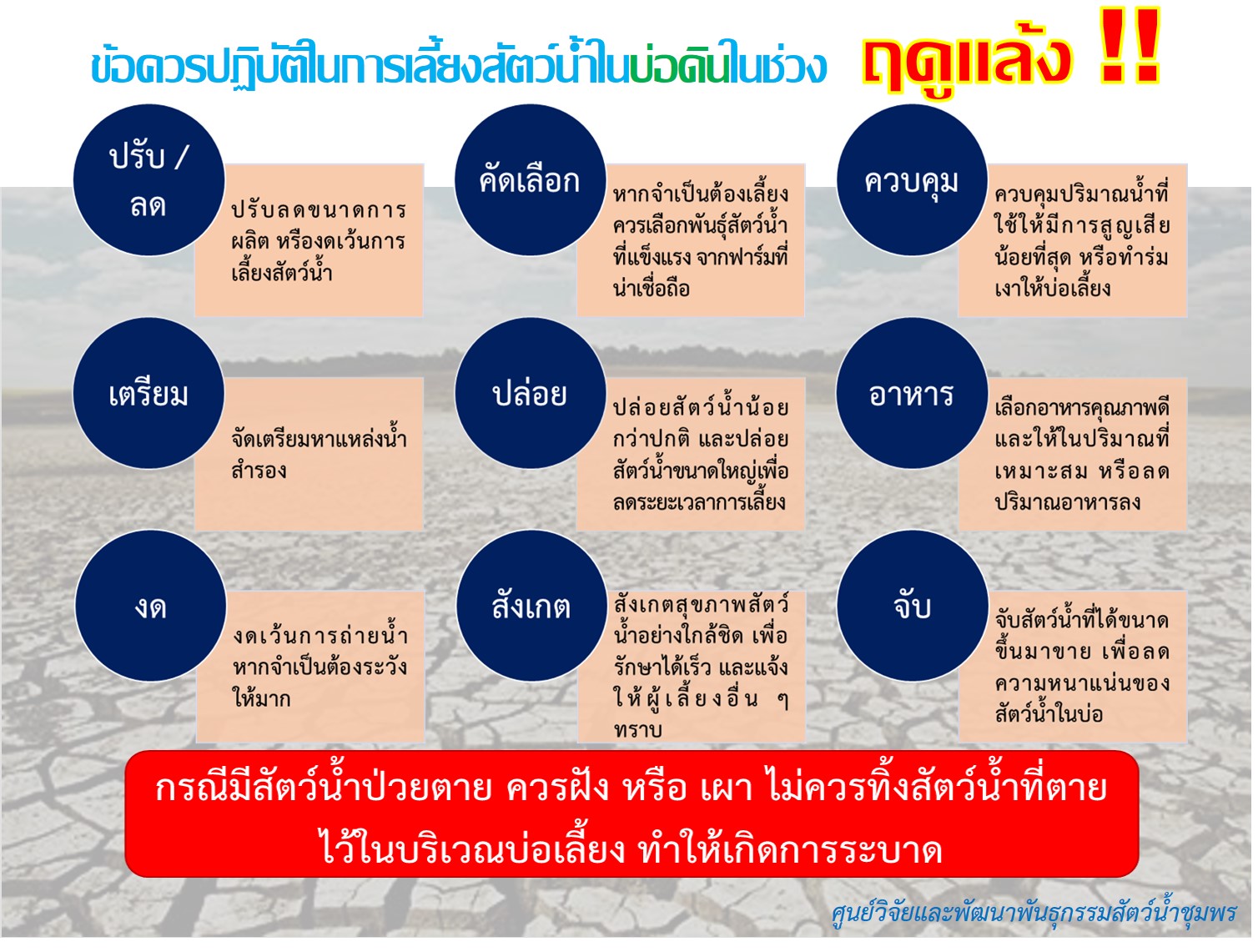 การเลี้ยงสัตว์น้ำช่วงภัยแล้ง