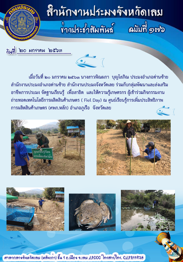 กิจกรรมงานวันถ่ายทอดเทคโนโลยีการผลิตสินค้าเกษตร (Fiel Day)..คลิก
