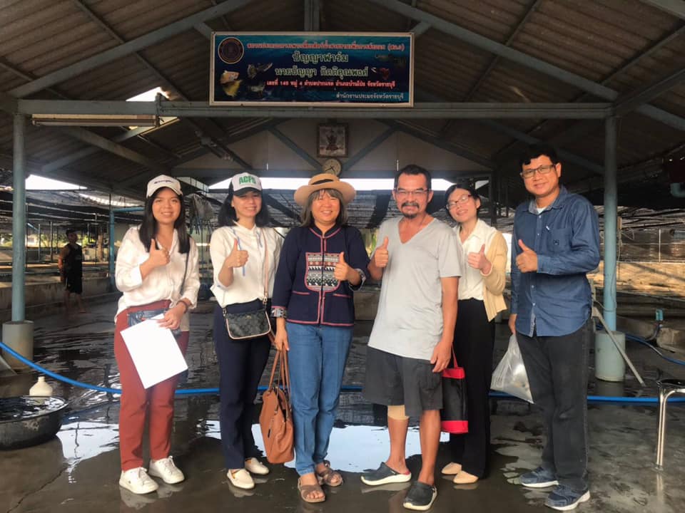 เข้าร่วมสำรวจเพื่อเก็บรวบรวมข้อมูลของเกษตรกรผู้เพาะเลี้ยงสัตว์น้ำสวยงามในโครงการระบบส่งเสริมเกษตรแบบแปลงใหญ่ (ปลาสวยงาม)..คลิก