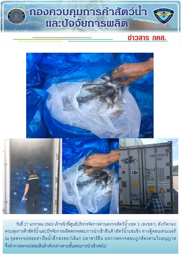 เจ้าหน้าที่ศูนย์บริหารจัดการด่านตรวจสัตว์น้ำเขต 3 (สงขลา) สังกัดกองควบคุมการค้าสัตว์น้ำและปัจจัยการผลิต ตรวจสอบการนำเข้าสินค้าสัตว์น้ำประเภทตู้คอนเทนเนอร์ ณ จุดตรวจปล่อยท่าเรือน้ำลึกสงขลา..คลิก