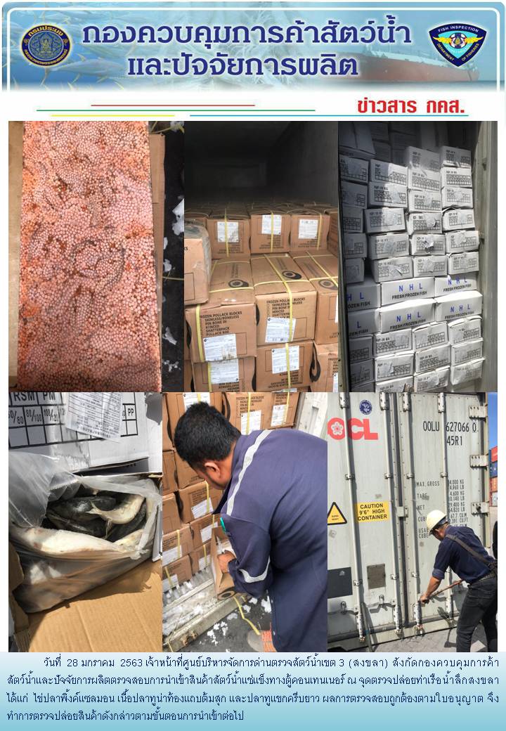 เจ้าหน้าที่ศูนย์บริหารจัดการด่านตรวจสัตว์น้ำเขต 3 (สงขลา) สังกัดกองควบคุมการค้าสัตว์น้ำและปัจจัยการผลิต ตรวจสอบการนำเข้าสินค้าสัตว์น้ำประเภทตู้คอนเทนเนอร์ ณ จุดตรวจปล่อยท่าเรือน้ำลึกสงขลา..คลิก