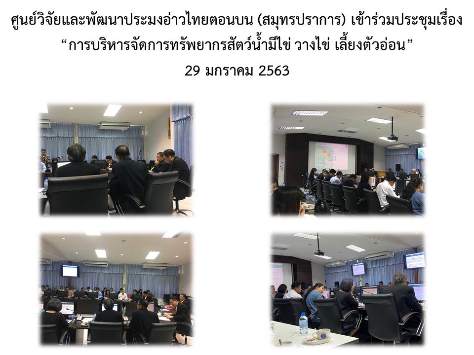 ศูนย์วิจัยและพัฒนาประมงอ่าวไทยตอนบน (สมุทรปราการ) เข้าร่วมประชุมเรื่อง “การบริหารจัดการทรัพยากรสัตว์น้ำมีไข่ วางไข่ เลี้ยงตัวอ่อน”..คลิก