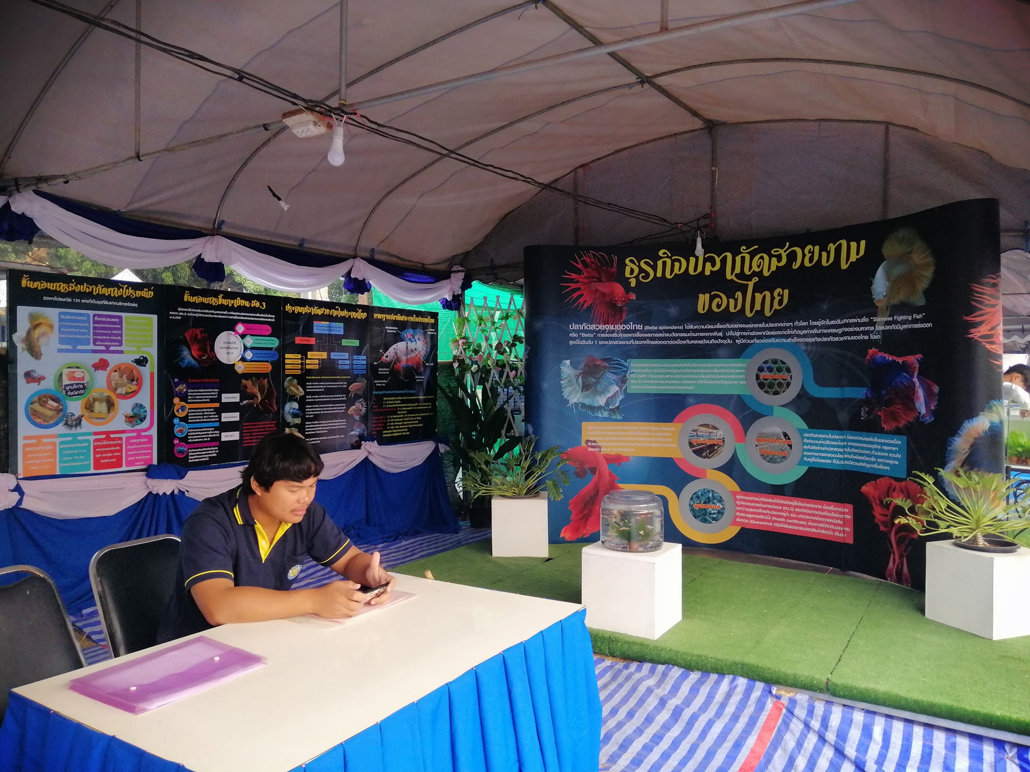 ข่าวกิจกรรม