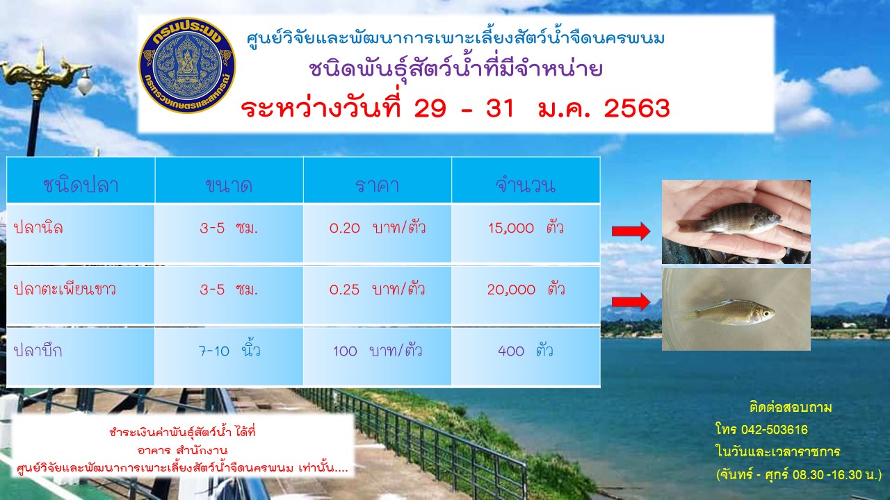 การจำหน่ายพันธุ์สัตว์น้ำ..คลิก