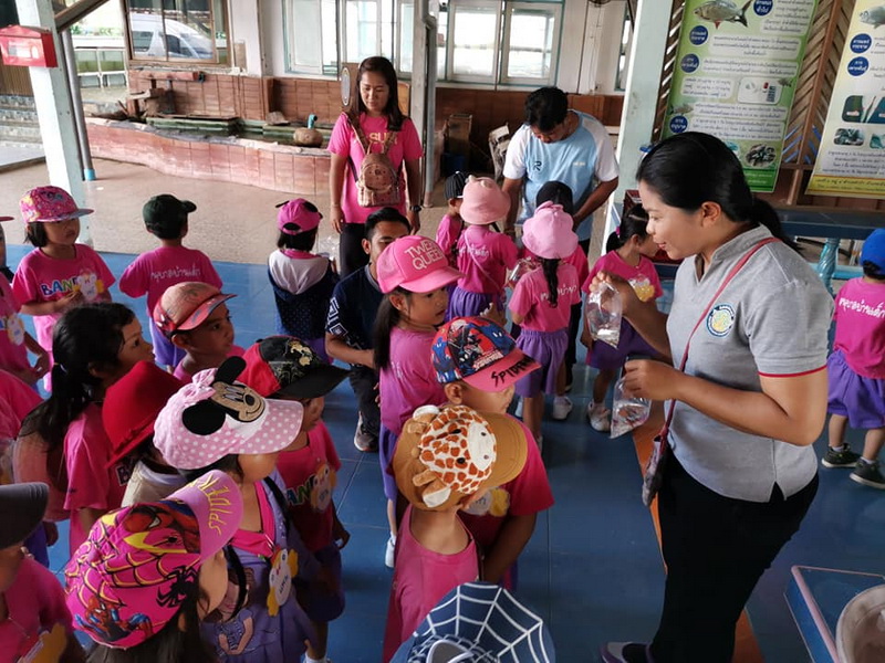 ต้อนรับนักเรียน โรงเรียนอนุบาลบ้านเด็ก เข้าเรียนรู้เรื่องปลาตะเพียน..คลิก