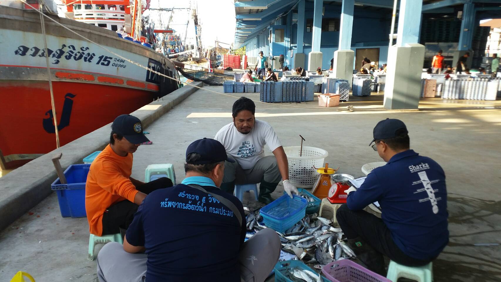 เมื่อวันที่ 13-17 มกราคม พ.ศ. 2563 เจ้าหน้าที่ศูนย์วิจัยและพัฒนาประมงอ่าวไทยตอนล่าง (สงขลา)  เก็บรวบรวมสภาวะการประมงจากเรืออวนล้อมจับ ที่ท่าเทียบเรือประมงปัตตานี อ.เมือง  จ.ปัตตานี   โดยเก็บข้อมูลสภาวะทรัพยากรสัตว์น้ำจากเรืออวนล้อมซั้ง จำนวน 10 ลำ..คลิก
