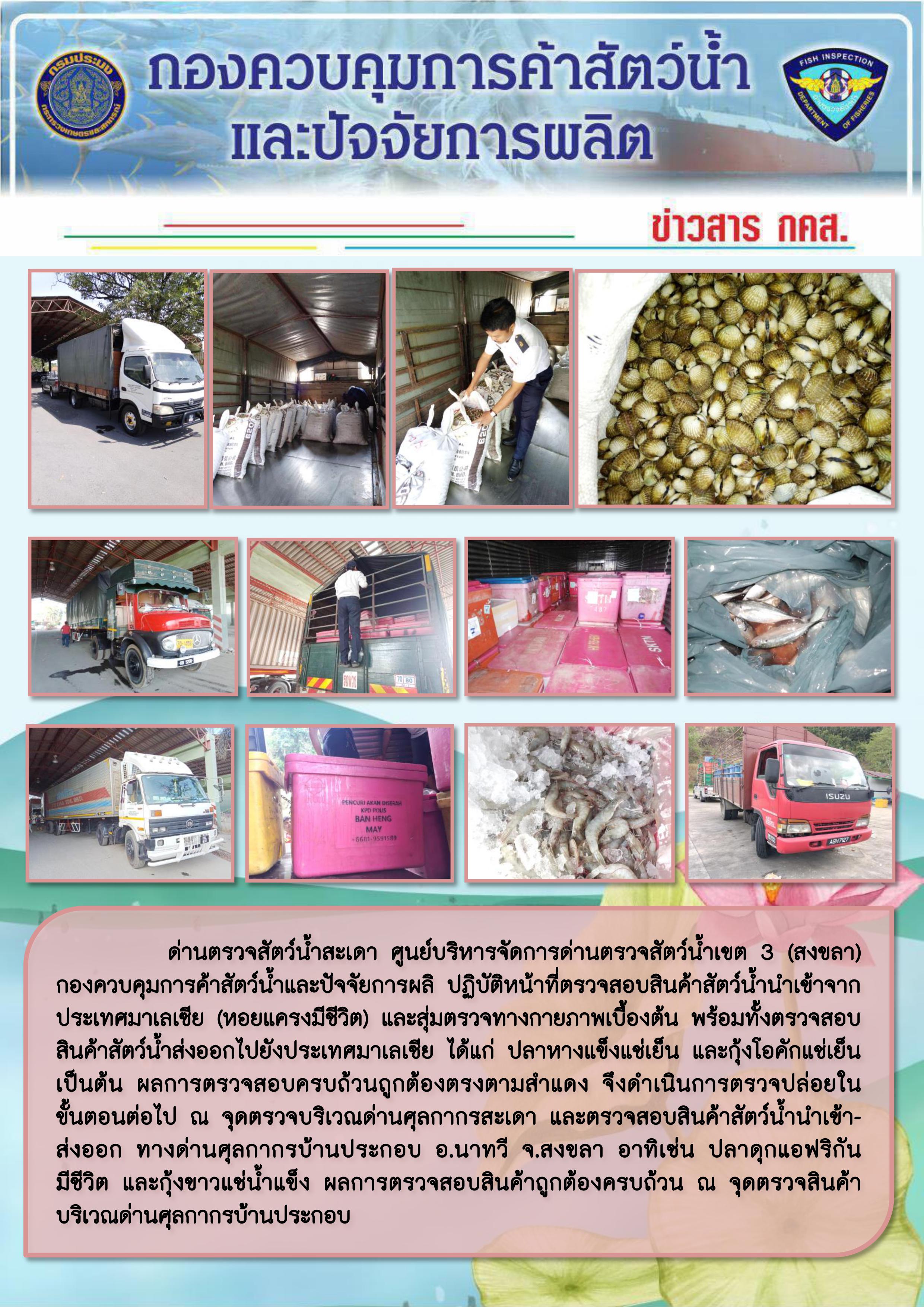 ข่าวสาร กคส. ประจำวันเสาร์ที่ 1 กุมภาพันธ์ 2563..คลิก