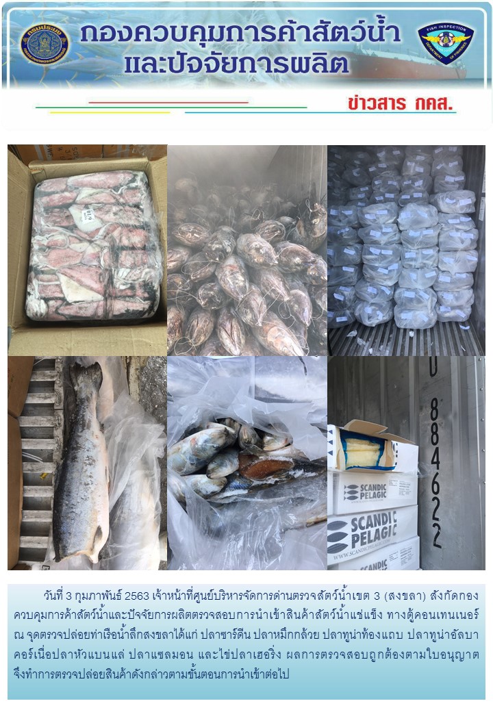 เจ้าหน้าที่ศูนย์บริหารจัดการด่านตรวจสัตว์น้ำเขต 3 (สงขลา) สังกัดกองควบคุมการค้าสัตว์น้ำและปัจจัยการผลิต ตรวจสอบการนำเข้าสินค้าสัตว์น้ำประเภทตู้คอนเทนเนอร์ ณ จุดตรวจปล่อยท่าเรือน้ำลึกสงขลา..คลิก