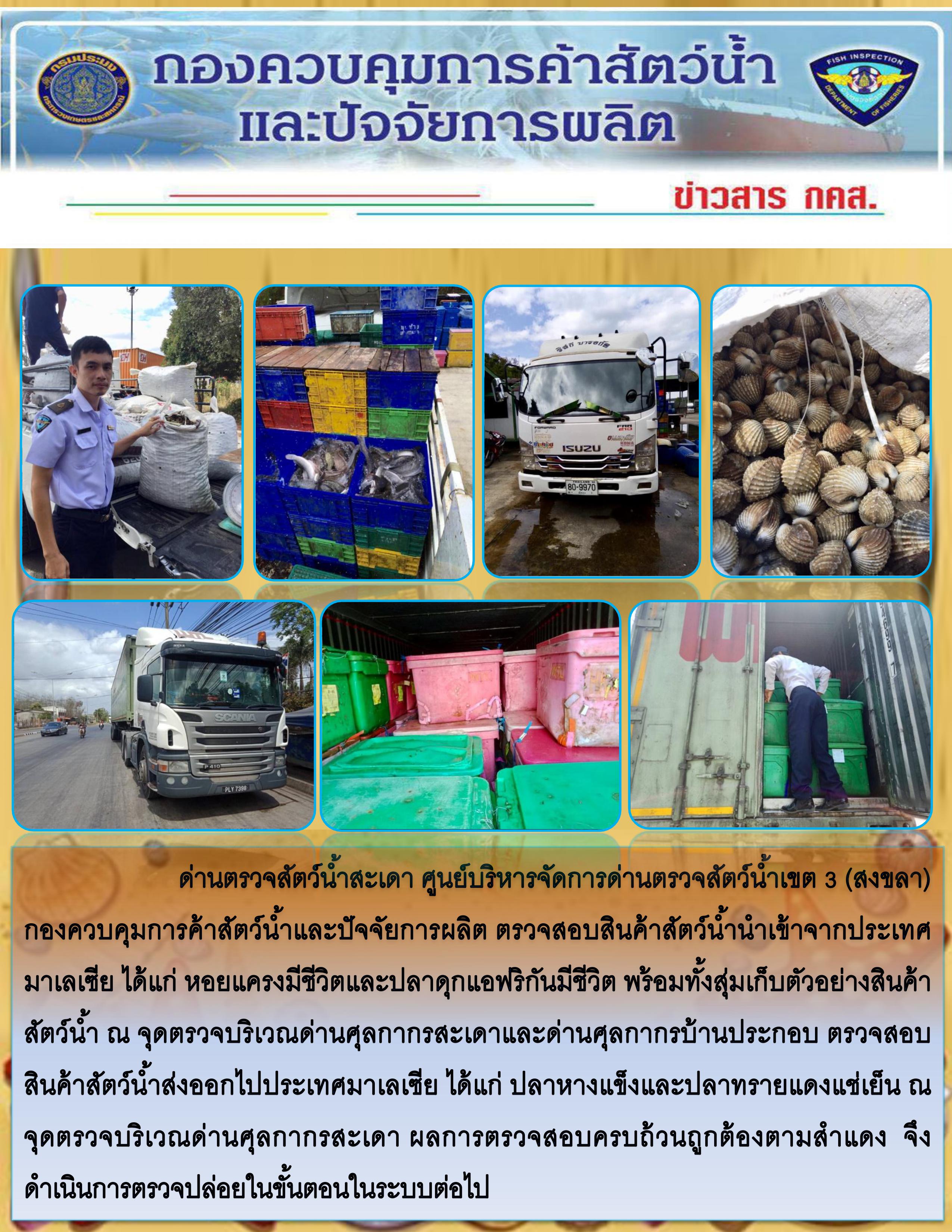 ข่าวสาร กคส. ประจำวันอาทิตย์ที่ 2 กุมภาพันธ์ 2563..คลิก