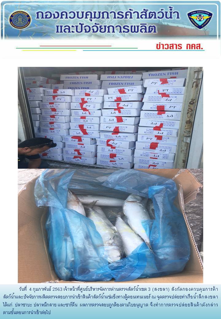 เจ้าหน้าที่ศูนย์บริหารจัดการด่านตรวจสัตว์น้ำเขต 3 (สงขลา) สังกัดกองควบคุมการค้าสัตว์น้ำและปัจจัยการผลิต ตรวจสอบการนำเข้าสินค้าสัตว์น้ำประเภทตู้คอนเทนเนอร์ ณ จุดตรวจปล่อยท่าเรือน้ำลึกสงขลา..คลิก