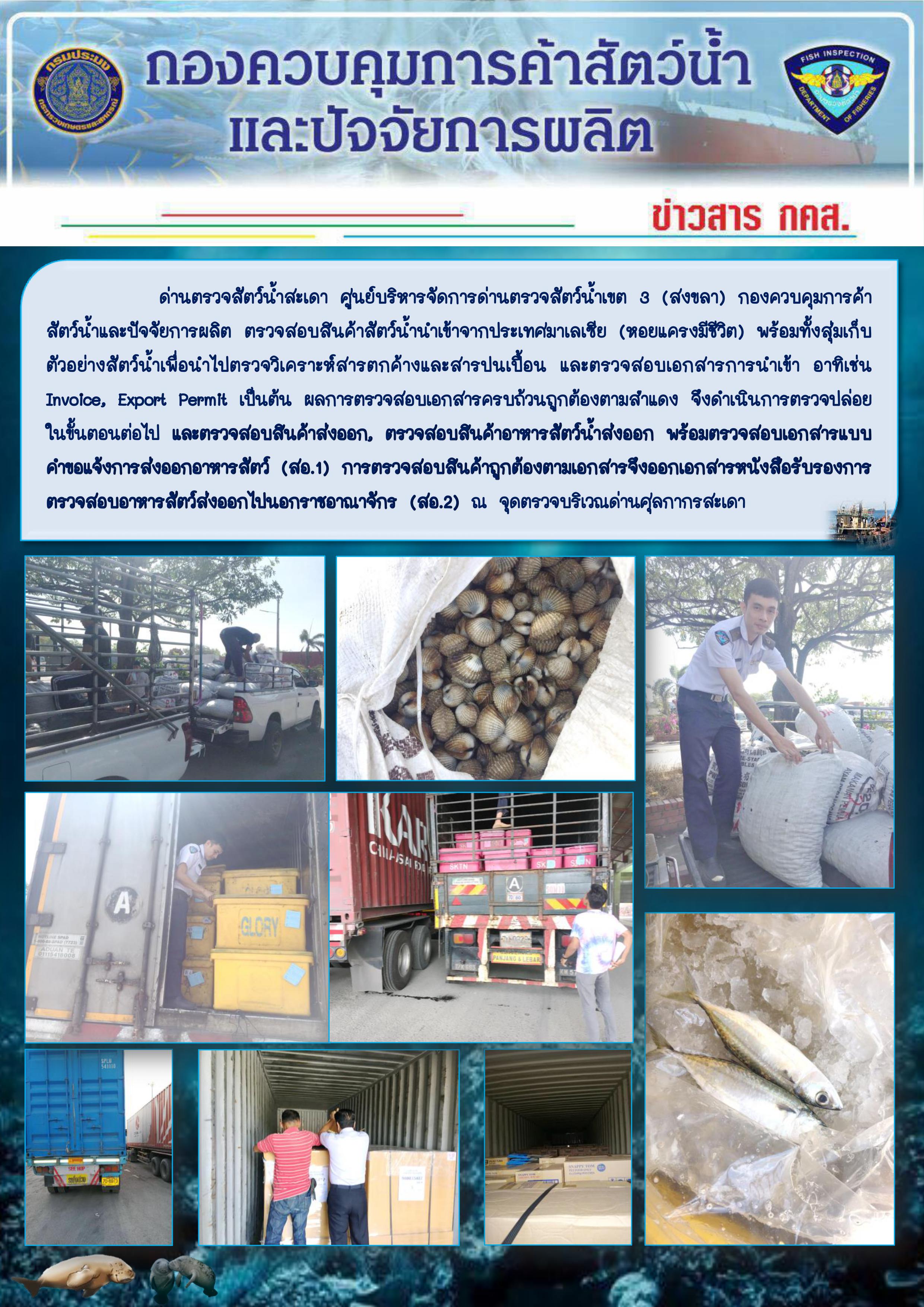 ข่าวสาร กคส. ประจำวันศุกร์ที่ 7 กุมภาพันธ์ 2563..คลิก