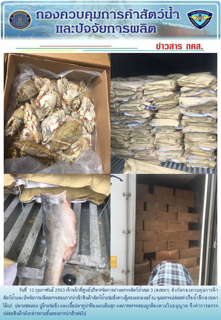 เจ้าหน้าที่ศูนย์บริหารจัดการด่านตรวจสัตว์น้ำเขต 3 (สงขลา) สังกัดกองควบคุมการค้าสัตว์น้ำและปัจจัยการผลิต ตรวจสอบการนำเข้าสินค้าสัตว์น้ำประเภทตู้คอนเทนเนอร์ ณ จุดตรวจปล่อยท่าเรือน้ำลึกสงขลา..คลิก