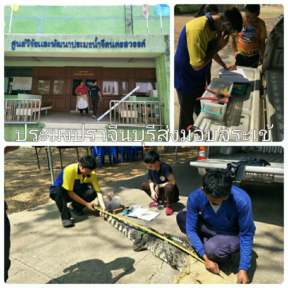 ข่าวประชาสัมพันธ์..คลิก