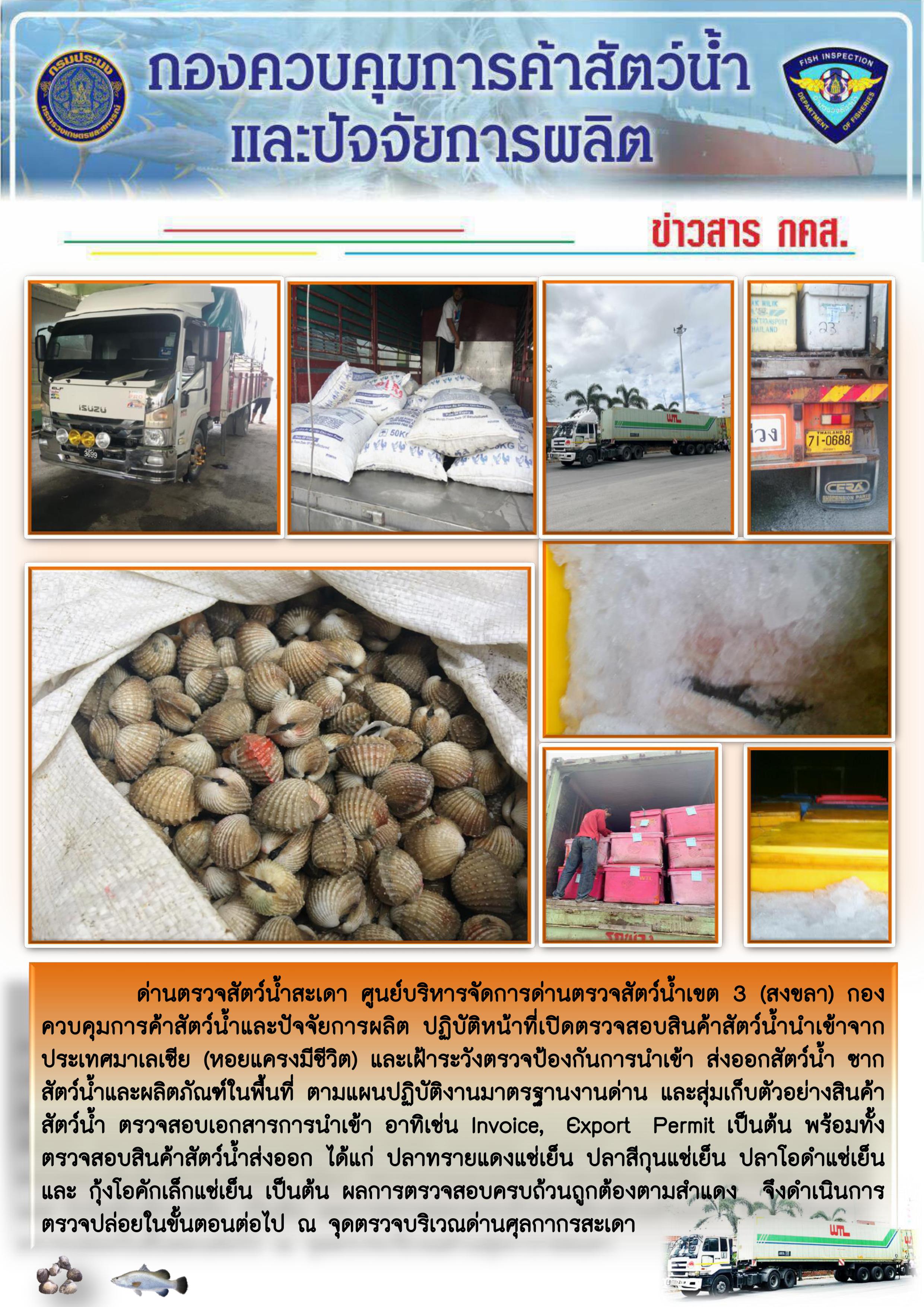 ข่าวสาร กคส. ประจำวันพฤหัสบดีที่ 13 กุมภาพันธ์ 2563..คลิก