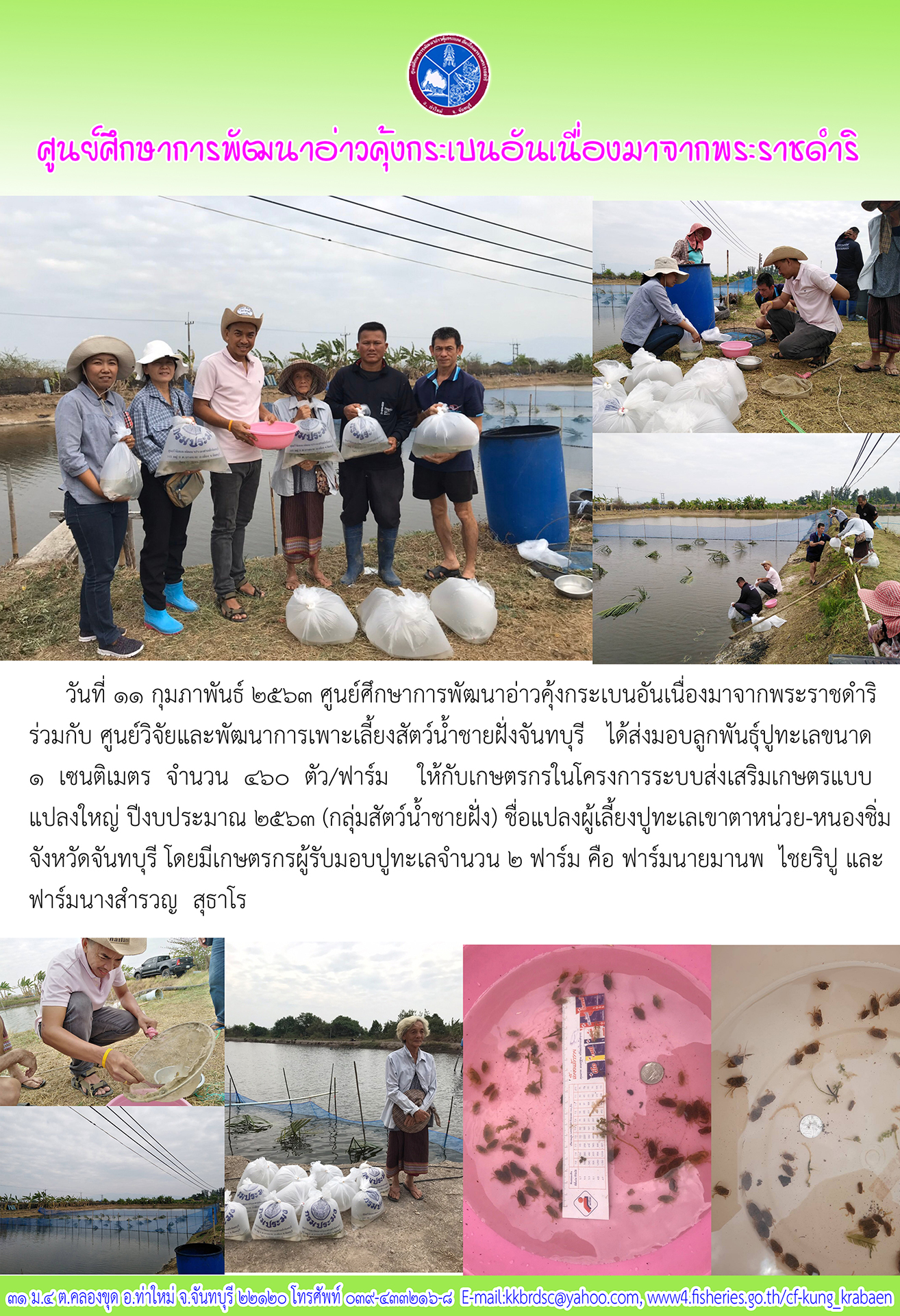 ศูนย์ฯ คุ้งกระเบน ร่วมกับศูนย์วิจัยและพัฒนาการเพาะเลี้ยงสัตว์น้ำชายฝั่งจันทบุรี มอบลูกพันธุ์ปูทะเล