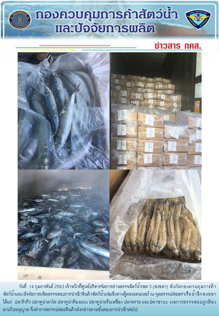 เจ้าหน้าที่ศูนย์บริหารจัดการด่านตรวจสัตว์น้ำเขต 3 (สงขลา) สังกัดกองควบคุมการค้าสัตว์น้ำและปัจจัยการผลิต ตรวจสอบการนำเข้าสินค้าสัตว์น้ำประเภทตู้คอนเทนเนอร์ ณ จุดตรวจปล่อยท่าเรือน้ำลึกสงขลา..คลิก