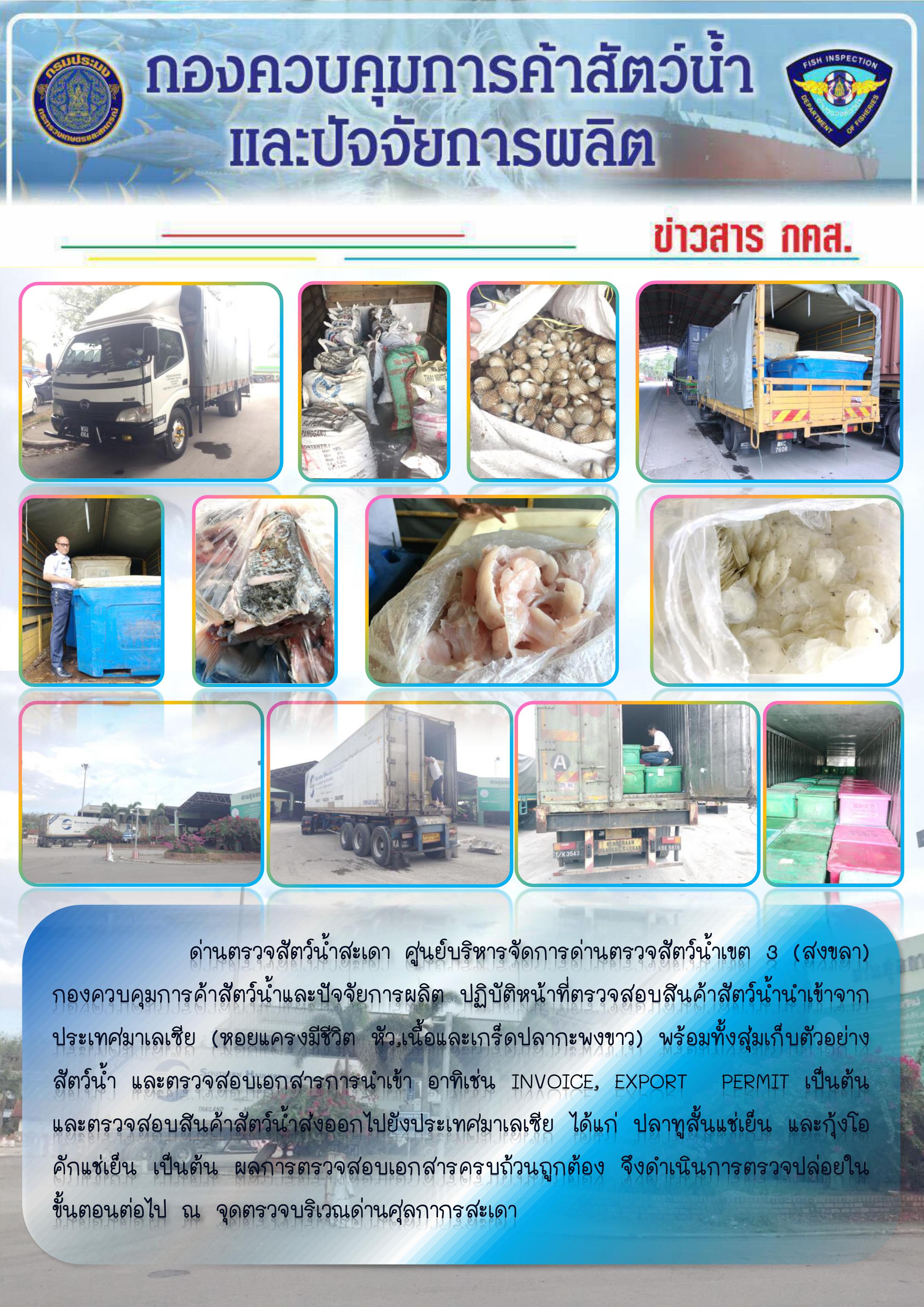 ข่าวสาร กคส. ประจำวันศุกร์ที่ 14 กุมภาพันธ์ 2563..คลิก
