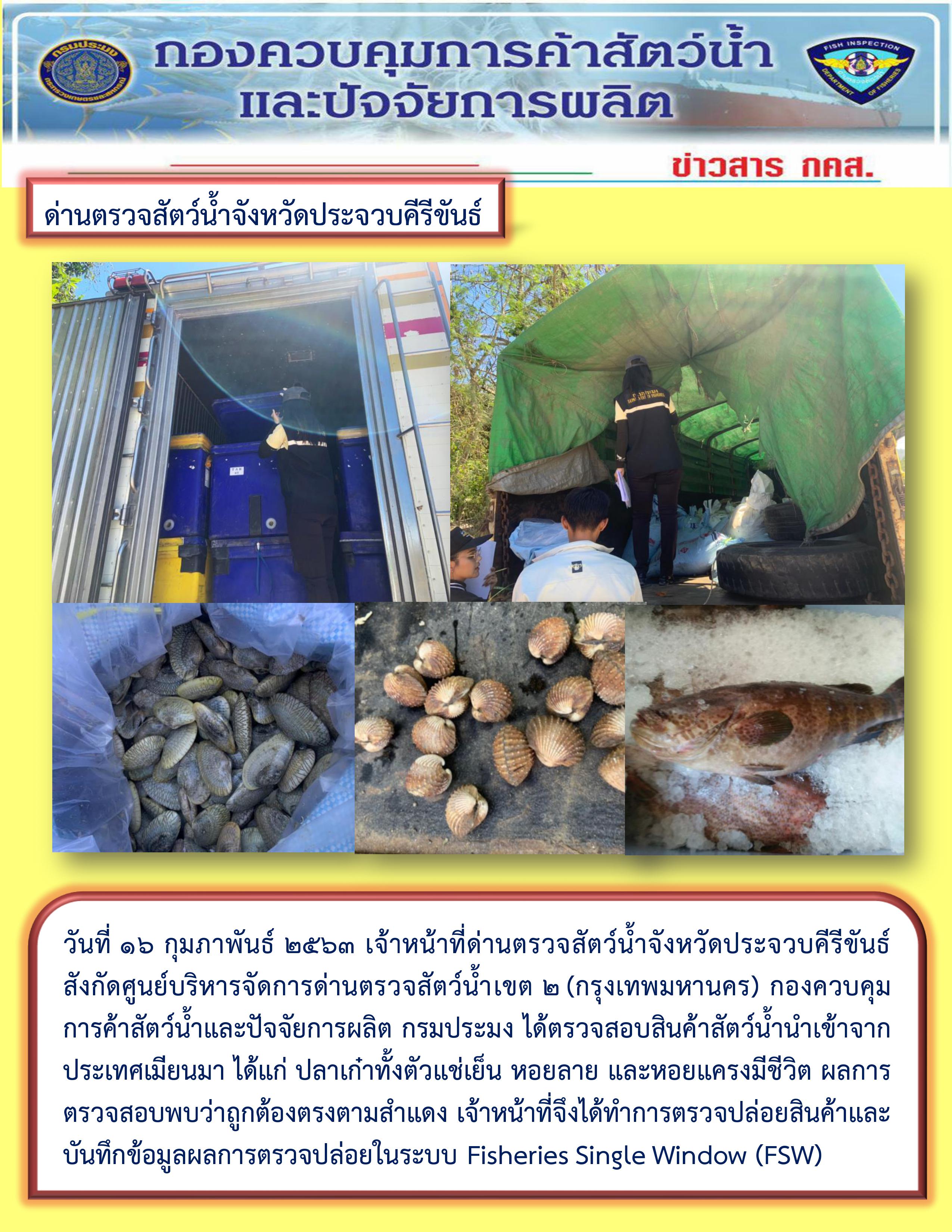 สินค้าสัตว์น้ำนำเข้าจากประเทศเมียนมา..คลิก
