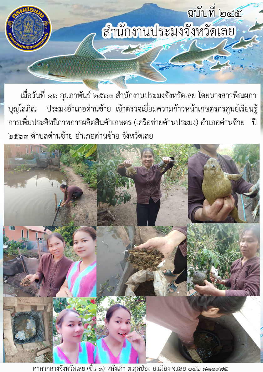 เข้าตรวจเยี่ยมความก้าวหน้าเกษตรกรศูนย์เรียนรู้การเพิ่มประสิทธิภาพการผลิตสินค้าเกษตร..คลิก