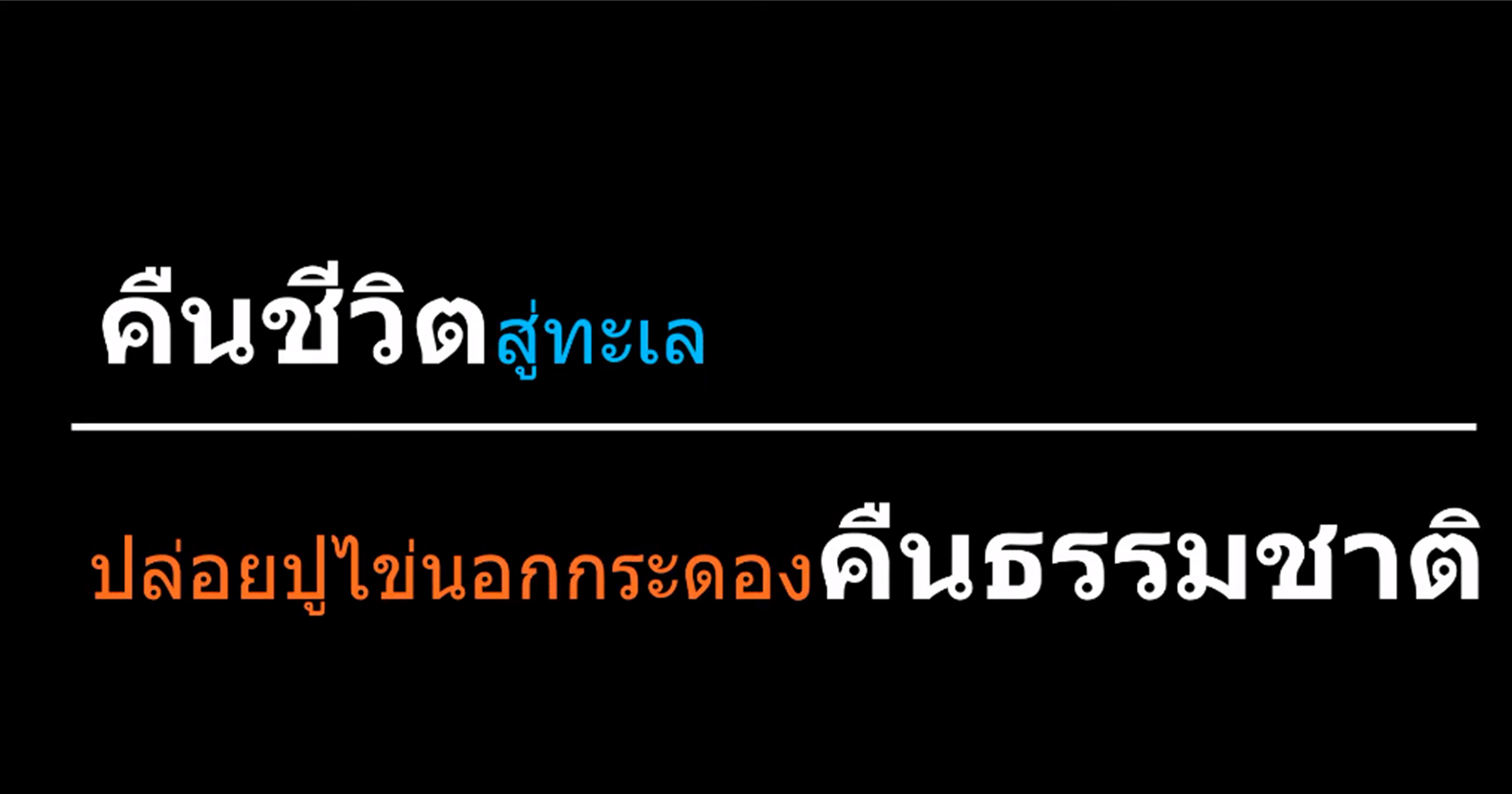 กิจกรรม คืนชีวิตสู่ทะเล ปล่อยปูไข่นอกกระดองคืนธรรมชาติ..คลิก