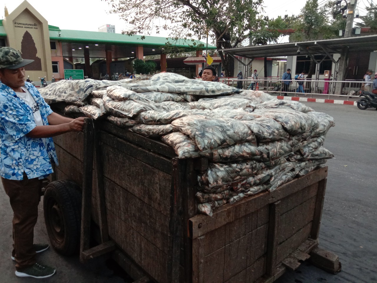 ตรวจสินค้าประมงที่นำเข้า ส่งออก ทางด่านพรมแดนถาวรคลองลึก..คลิก