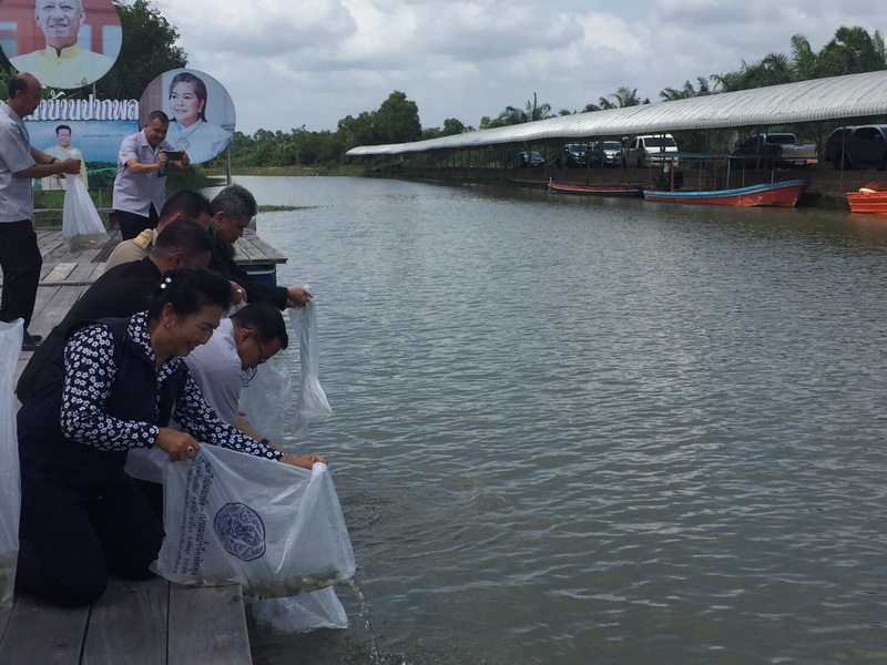 ร่วมจัดนิทรรศการโครงการหน่วยบำบัดทุกข์ฯ ณ ตลาดน้ำบ้านปากพล..คลิก