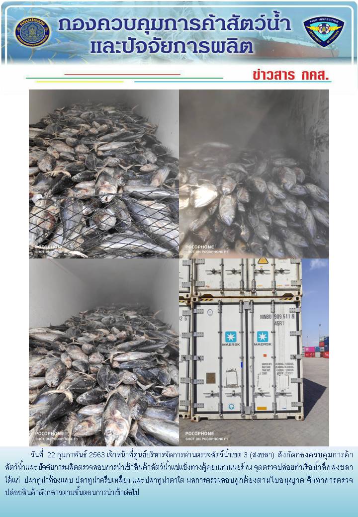เจ้าหน้าที่ศูนย์บริหารจัดการด่านตรวจสัตว์น้ำเขต 3 (สงขลา) สังกัดกองควบคุมการค้าสัตว์น้ำและปัจจัยการผลิต ตรวจสอบการนำเข้าสินค้าสัตว์น้ำประเภทตู้คอนเทนเนอร์ ณ จุดตรวจปล่อยท่าเรือน้ำลึกสงขลา..คลิก